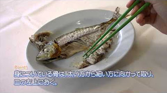 魚 きれいな 食べ方 Youtube