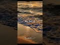 🌊✨ “Some waves touch the shore… some touch the soul.” 🤍🌅      #viral #popular #trending  #subscibe
