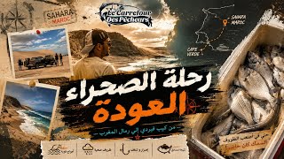 مغامرة صيد لا تصدَّق في سواحل الصحراء المغربية🇲🇦🎣🐟