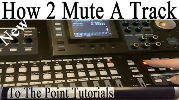 How to mute a track tascam DP24 SD tutorial