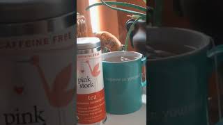 Pink Stork Morning Sickness Tea (Extended Version) | New Mom 2 Be Favs |