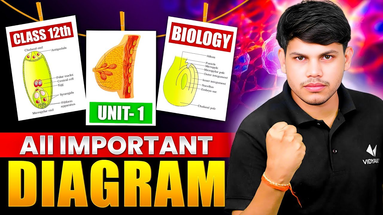 Class 12 Biology Unit 1 – Most Important Diagrams for Board Exam 2025 ...