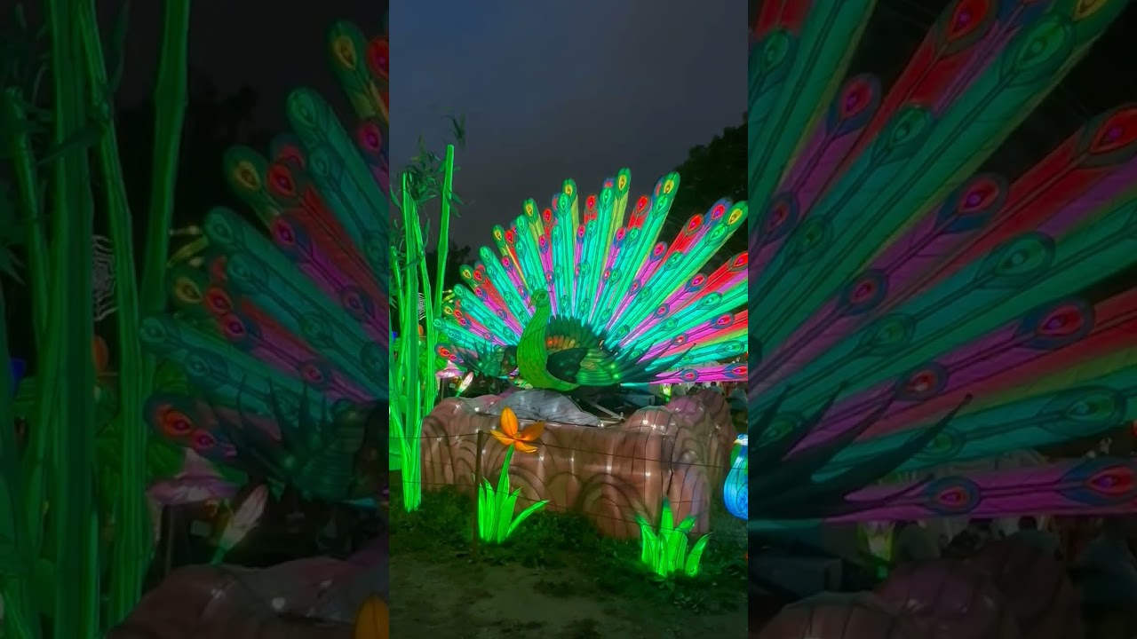 Magical Lights at Philadelphia Chinese Lantern Festival 🏮✨ | Franklin Square 2025