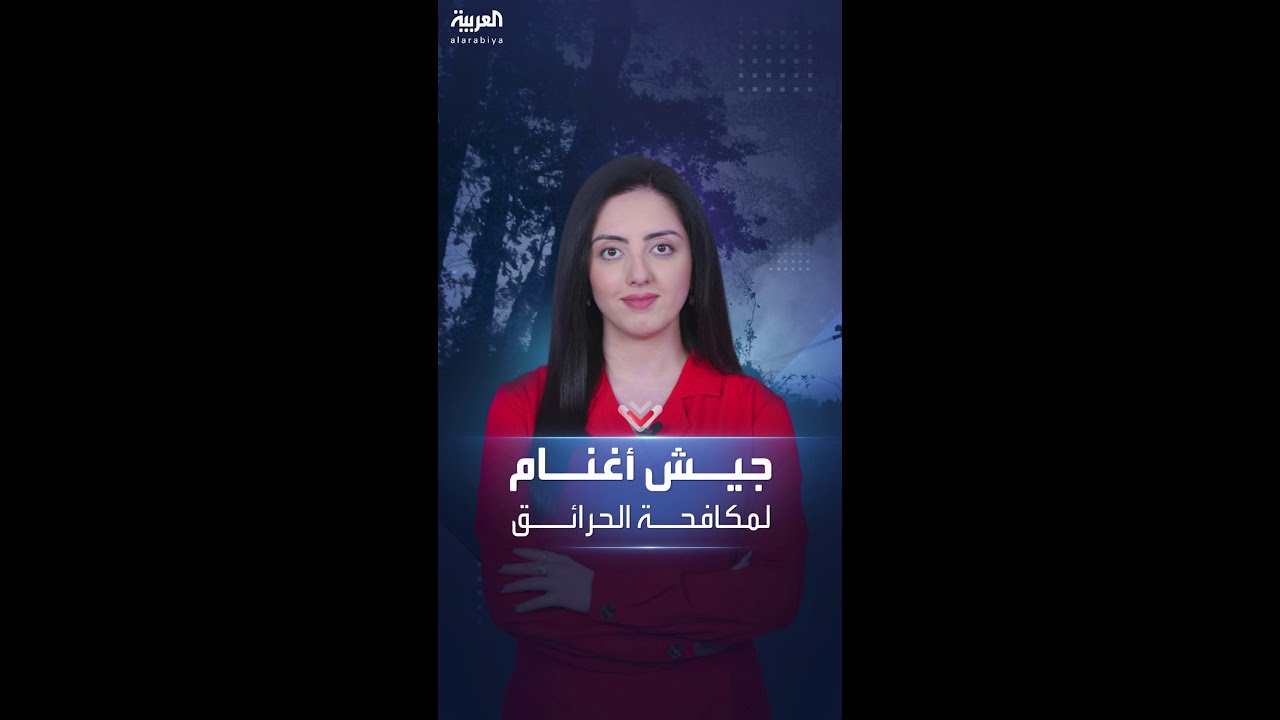 شركة أميركية تستعين بالأغنام لمنع حرائق الغابات