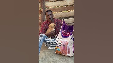 Please don’t scroll without sharing this video to more people so that they can help us to save dogs