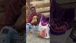 Please don’t scroll without sharing this video to more people so that they can help us to save dogs