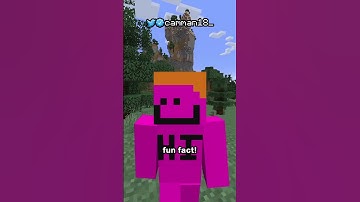 Every Name Tag Easter Egg