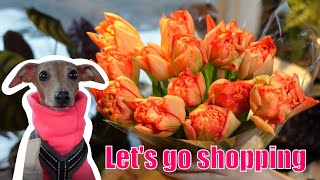 Valentine's Day vlog | Come shopping with Honey