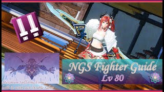 PSO2 NGS: NGS V2 Lv 80 Fighter Guide