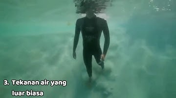 3 fakta unik palung mariana [Laut Terdalam Di Dunia]
