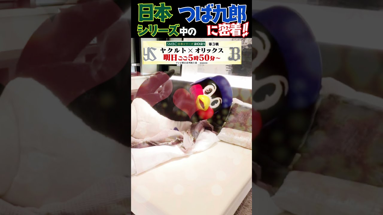 お座りつば九郎（小） | 東京ヤクルトスワローズ オフィシャル