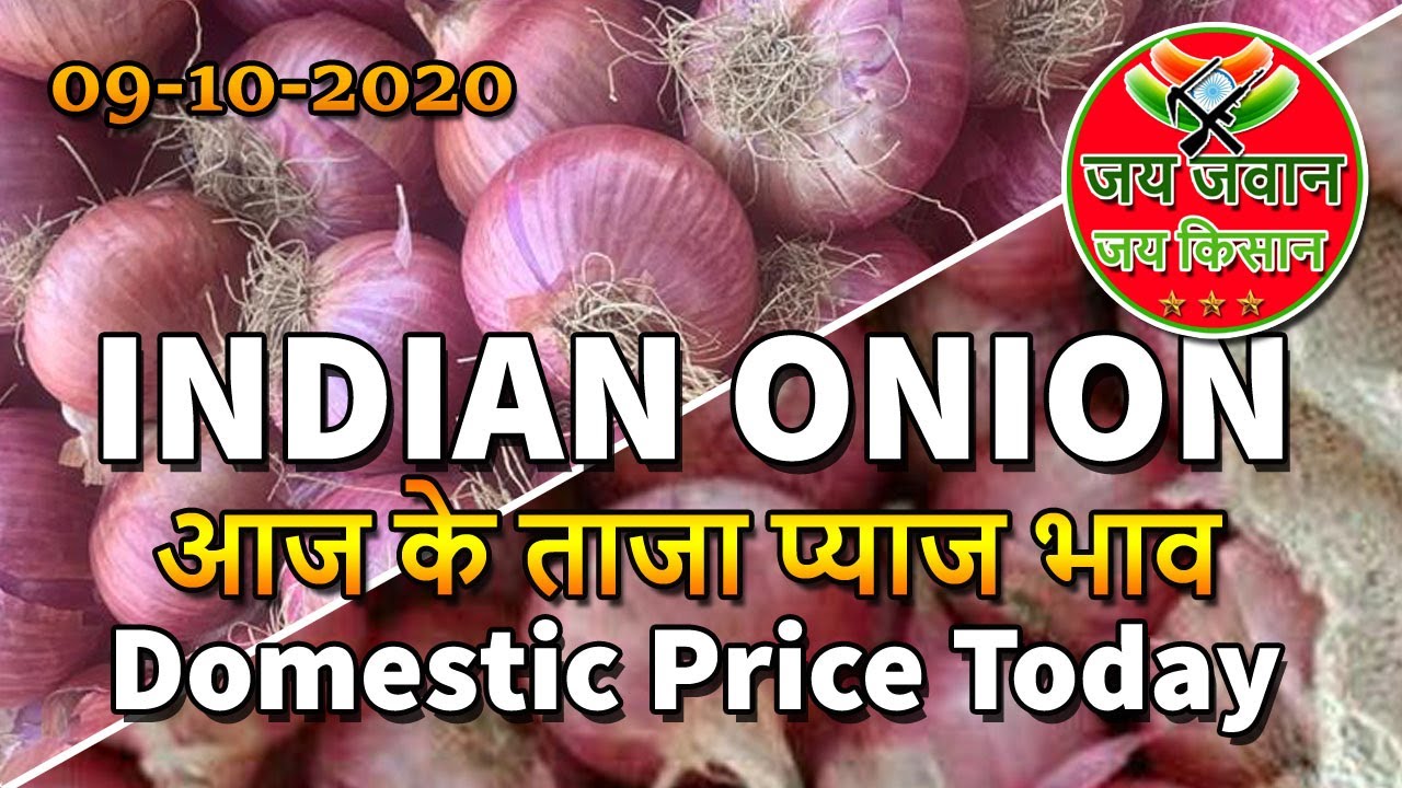 onion price today 09102020 प्याज का भाव प्याज की दाम indian