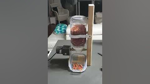 Distributore di cibo per cani e gatti automatizzato