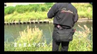 小規模河川の巨ゴイハンティング