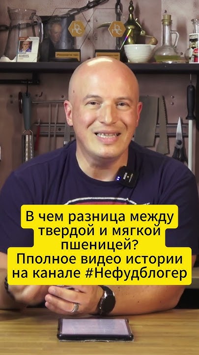 В чем разница между твердой и мягкой пшеницей? Объясняем простыми ...