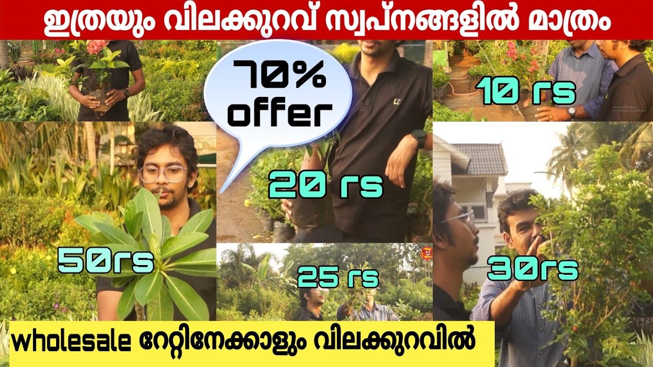 ഇത്രെയും വിലക്കുറവ് ചരിത്രത്തിൽ ആദ്യം| എന്തെടുത്തലും പകുതിയിൽ താഴെ മാത്രം| best nursery in Thrissur|