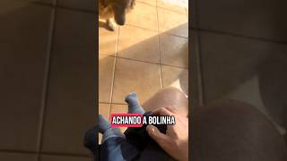 JOGA A CRIANÇA OU NÃO? #goldenretriever