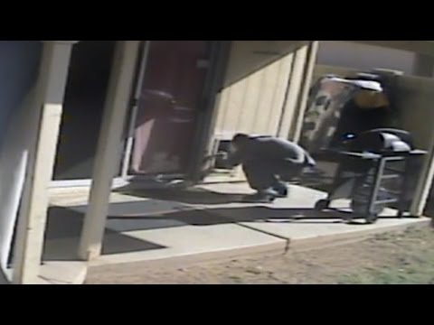 Watch Burglar Give Dog A Treat And Then Break Into Home Using Doggie Door: Cops