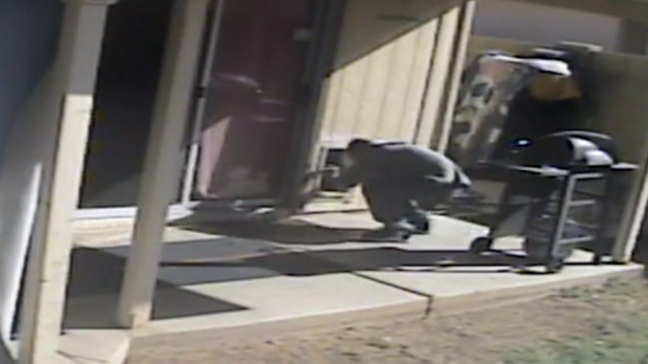 Watch Burglar Give Dog A Treat And Then Break Into Home Using Doggie