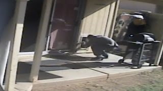 Watch Burglar Give Dog A Treat And Then Break Into Home Using Doggie Door: Cops
