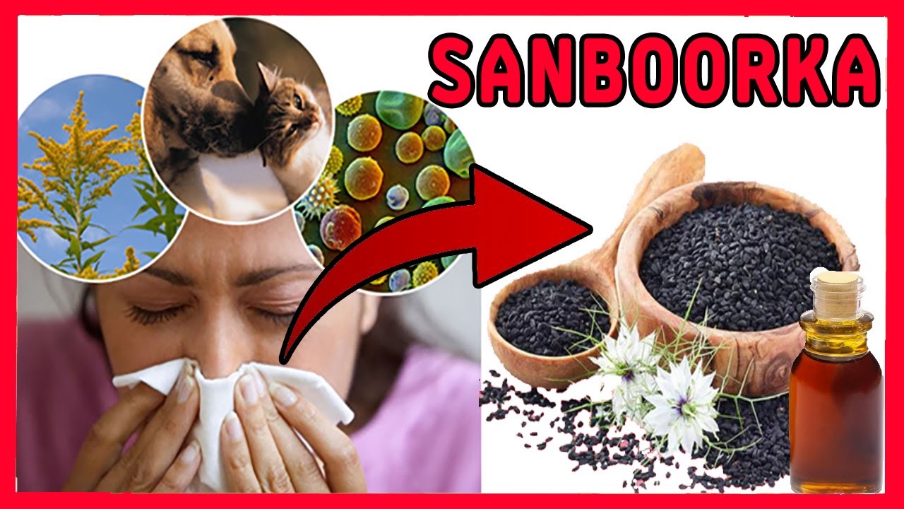 CUDURKA SANBOORKA SIDA UGU FUDUD EE LOO DAAWEEYO