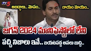 YSRCP Manifesto 2024 REAL FACTS REACTION - Jagan Manifesto LIES and CHEATING EXPLAINED | TV5 News