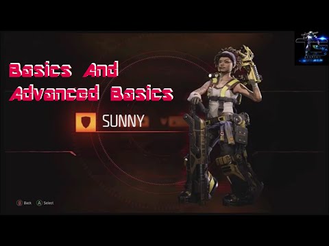 Evolve: Basics and Advanced Basics for Sunny