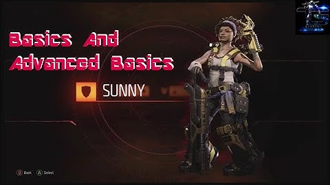 Evolve: Basics and Advanced Basics for Sunny