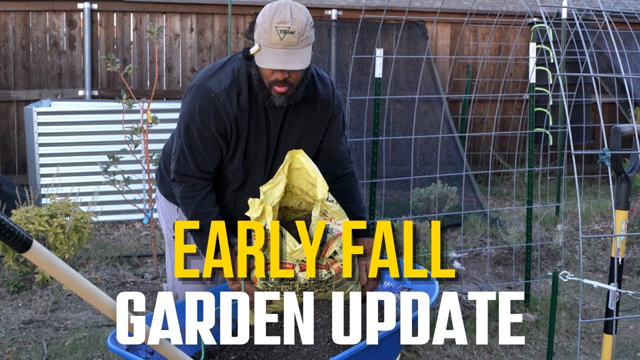 🌱 Осенняя перезагрузка в саду + установка нового обогревателя для теплицы! (В стиле городской уса...