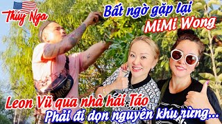 Bất ngờ gặp lại MiMi Wong.. Leon Vũ qua nhà hái Táo phải đi dọn nguyên khu rừng..