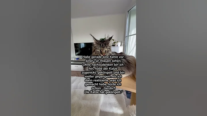 Watch the video about Wer hat geklingelt? 😺 #cutecats #cat #mainecoon #katze #catvideos #catlife