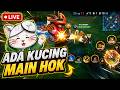 Ada kucing MAIN HOK