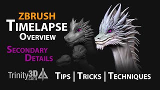 Dragon Timelapse Overview Secondary Details Trinity3Dtv