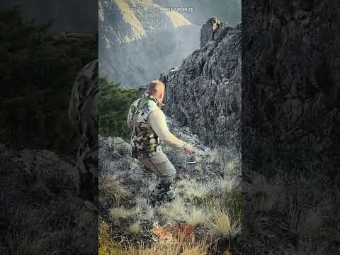 Sniper Precision: 530 Yards
