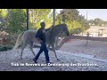 Klassische Handarbeit im Bosal