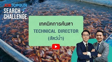 เทคนิคหา Technical Director (สัตว์น้ำ) l JOBTOPGUN Search Challenge Ep.324