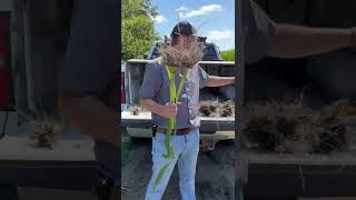 8.4.22 Central Agronomy Update