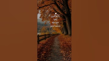 تلاوة القرآن الكريم بصوت الشيخ ياسر الدوسري #قرآن #اللهم_صل_وسلم_على_نبينا_محمد