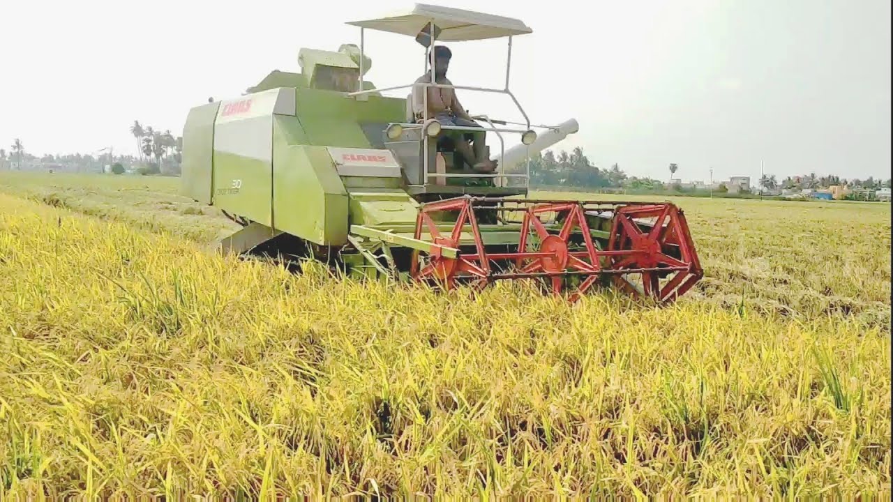 Class tiger 30 | Rice harvester | 
