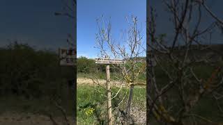 Viaje a Irati. Las huellas de las mujeres. Proyecto Karekin para INNOVA LOCAL. Visita Urraúl Bajo