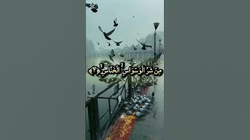 #سورة_الناس #اكسبلور #القزابري #duet #المصحف #تيك_توك #دويتو #الرحمن #لايك #راحة_نفسية #حالات_واتس