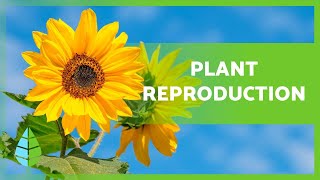 PLANT REPRODUCTION 🌱 (Sexual, Asexual, with Flowers and without Flowers)