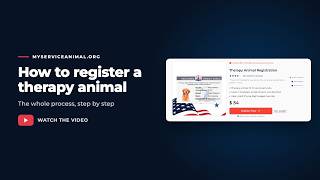 Therapy Animal Registration — How It Works for Dogs, Cats and Other Animals