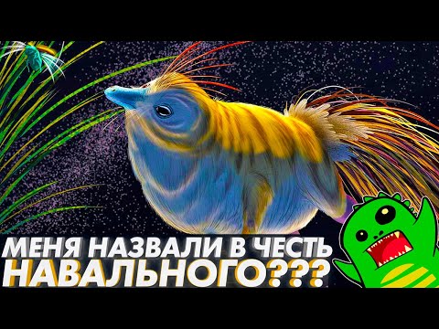 Загадочное тёмное пятно