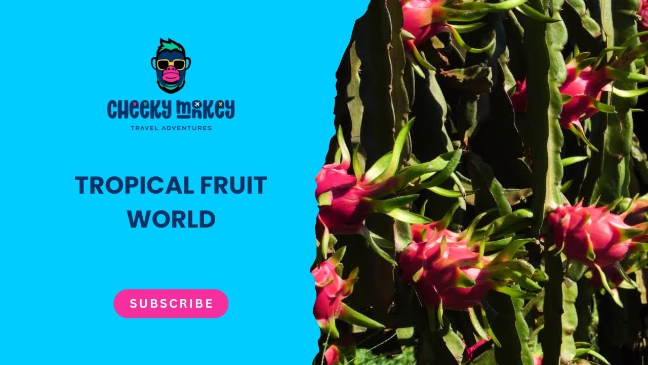 Exploring Tropical Fruit World: A Family Adventure from North Star Holiday Resort