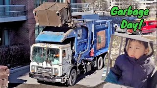 It's Garbage Collection Day! Z waits for the Garbage Truck!