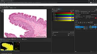 [Tutorial] Pixel Classifier