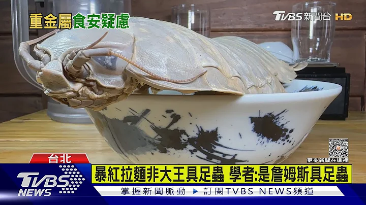 暴红拉面非大王具足虫 学者:是詹姆斯具足虫｜TVBS新闻 @TVBSNEWS01 - 天天要闻
