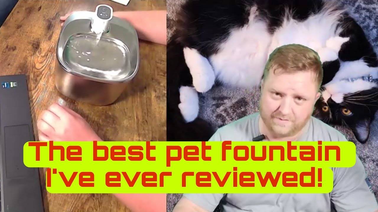 best affordable indestructible dog toys Indestructible Dog Toy for Chewers