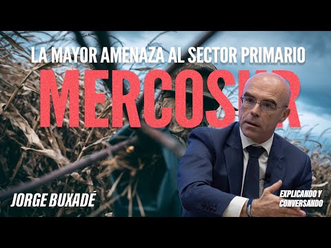 🔴❌MERCOSUR AGREEMENT❌🔴 | The biggest threat to the primary sector